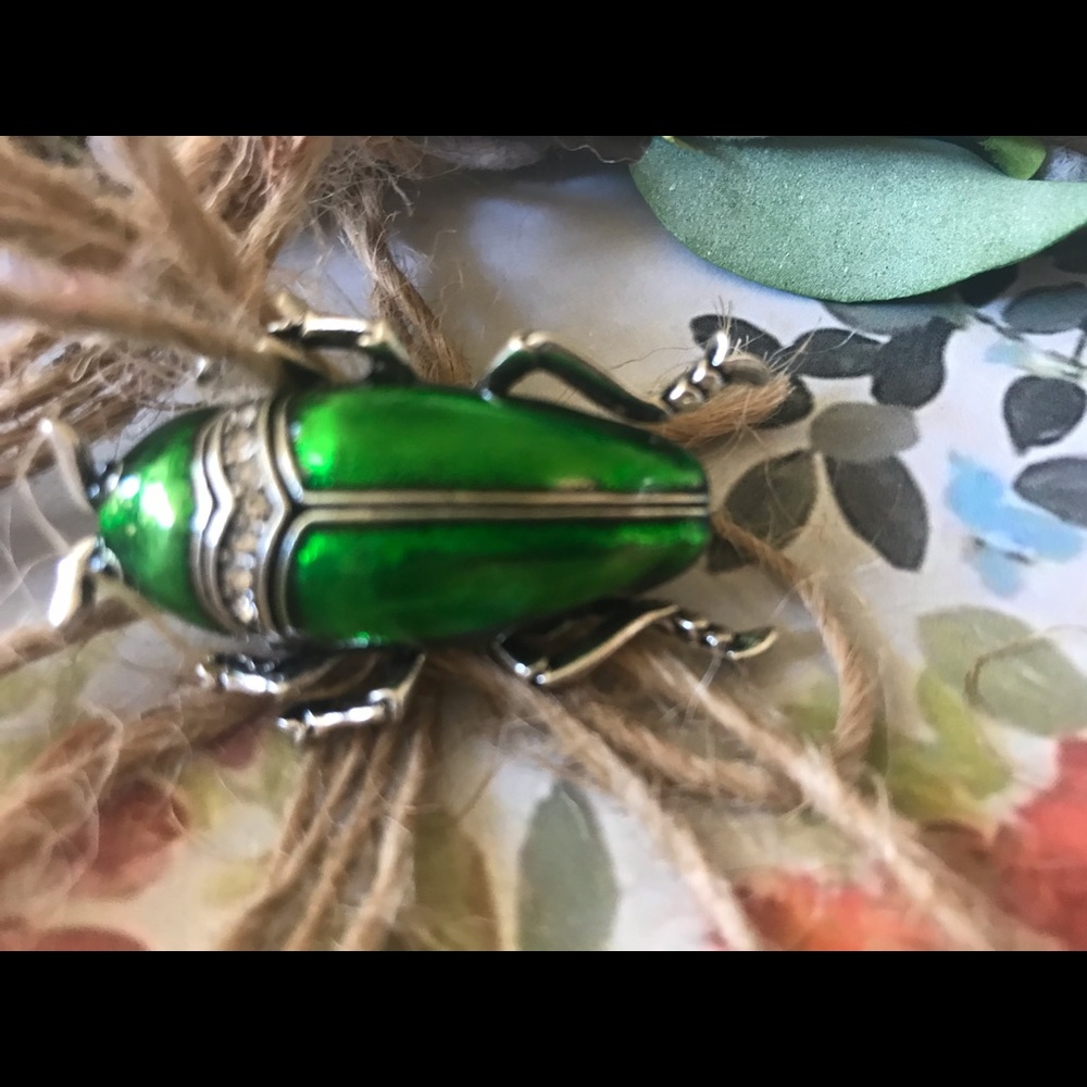 Beetle brooch - Picture 6 of 10